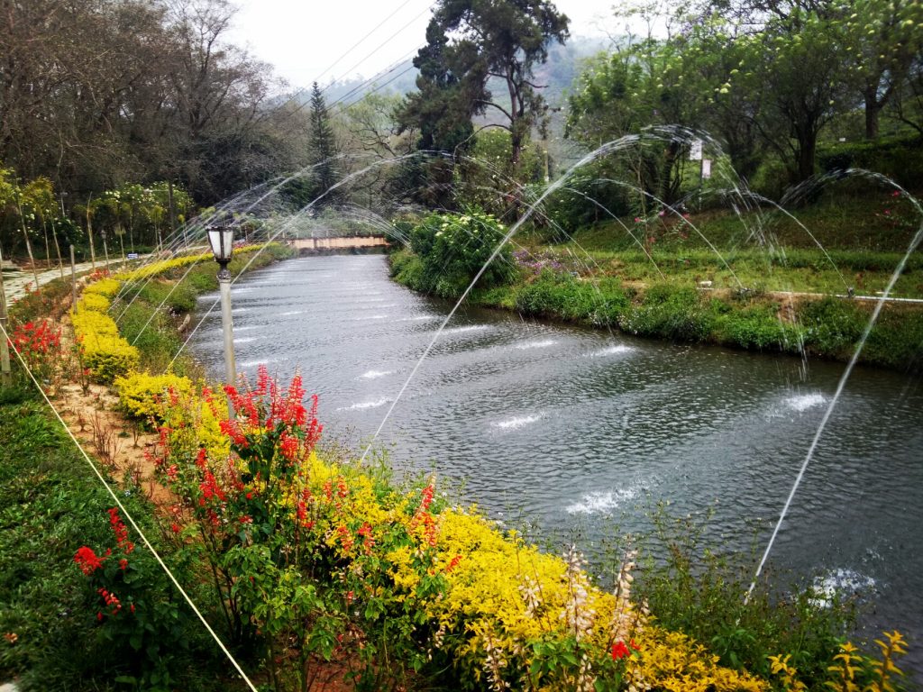 Munnar_hill_station_Feature_Munnar_Tour_Packages_from_madurai