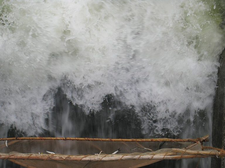 Kallanai_Dam_Trichy