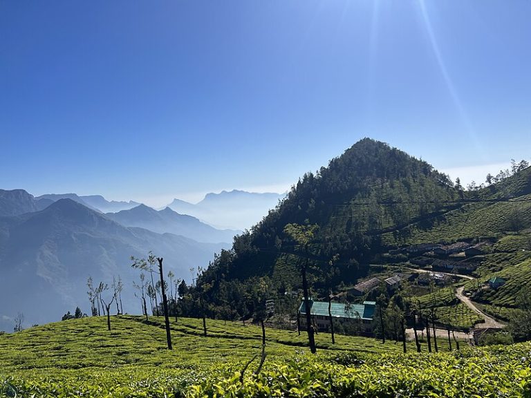 Munnar_Kerala