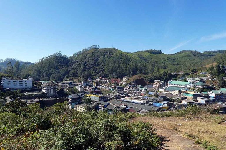 Munnar_Kerala