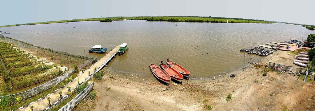 Pichavaram_Mangrove_Forest_Chidambaram