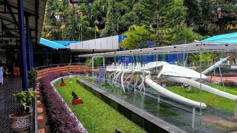 Samudrika_Naval_Marine_Museum_Port_Blair