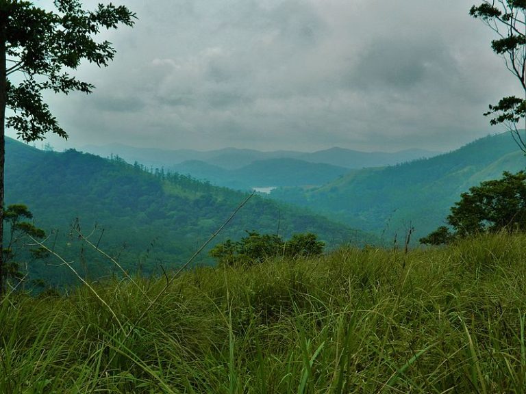 Thekkady_Kerala