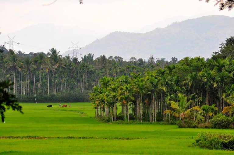 Wayanad_Kerala
